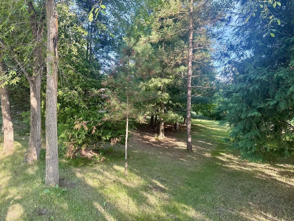 Picture 4