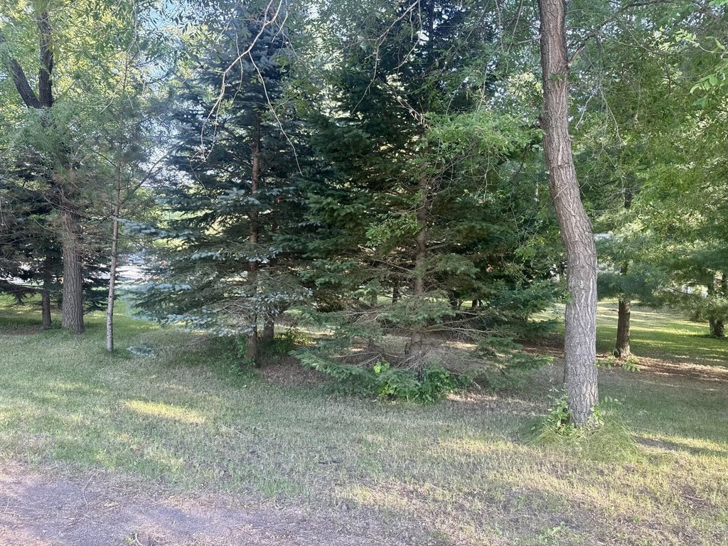 Picture 5