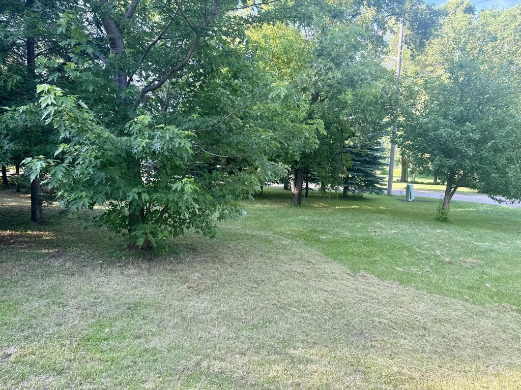 Picture 3