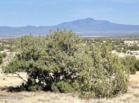 Juniperwood Ranch 40-Acre Land