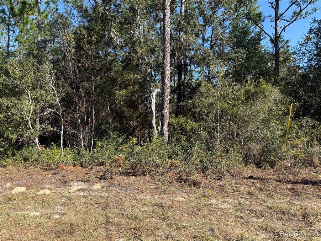 Residential Lot in Citrus Springs
