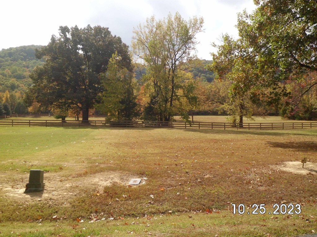 Picture 7