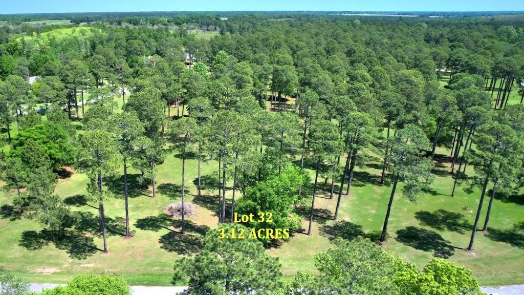Cordele, GA Land with Views