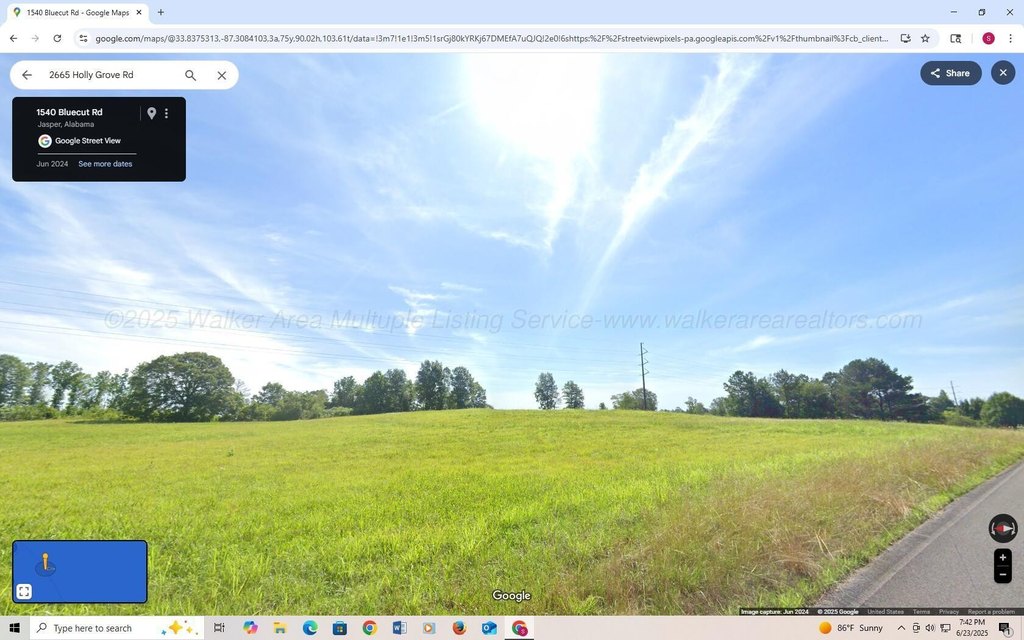 Picture 6