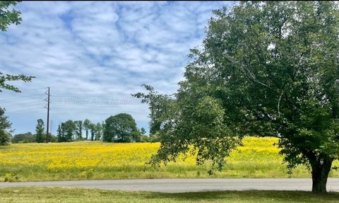 Unrestricted No-Zoning Land Tract