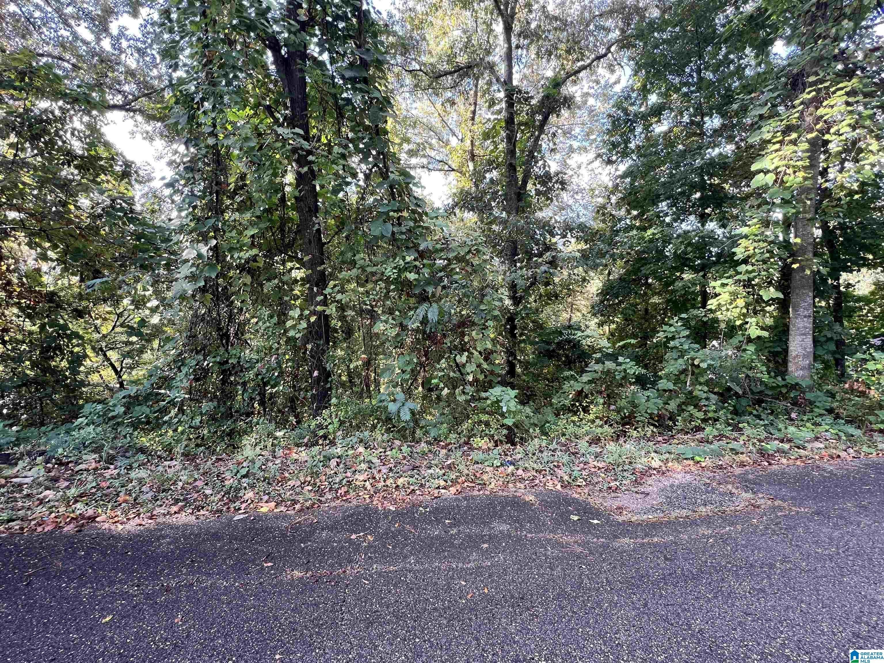 Undeveloped Lot in Oxford School
