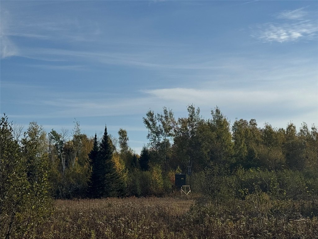 Picture 25