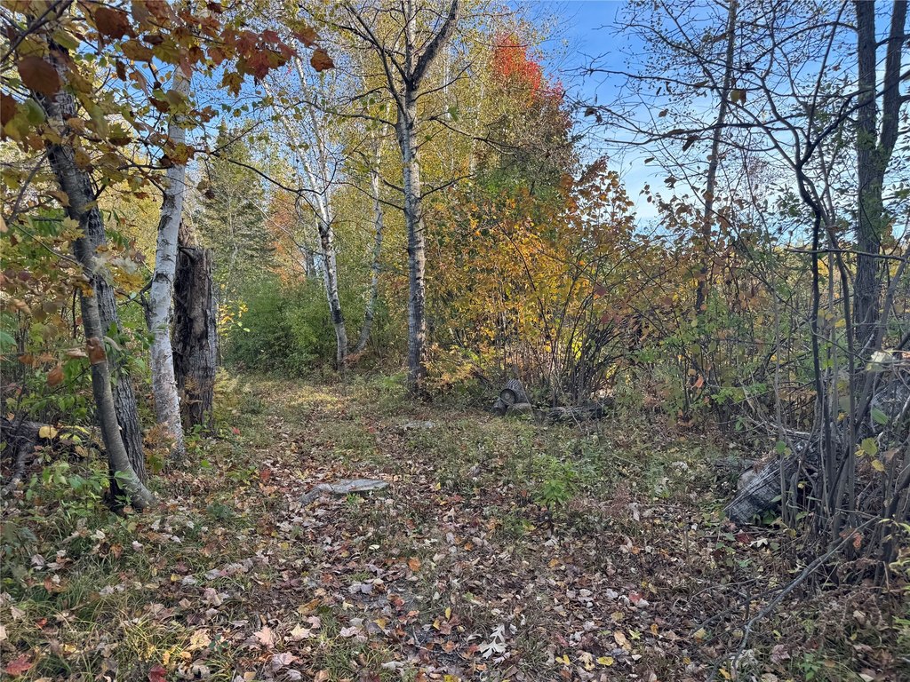 Picture 22