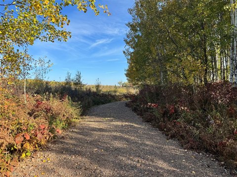 Hunting Land with Trail System