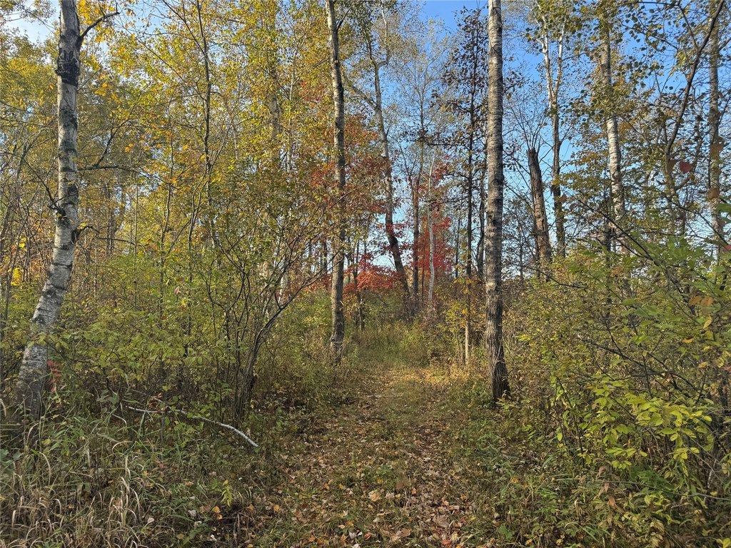 Picture 23
