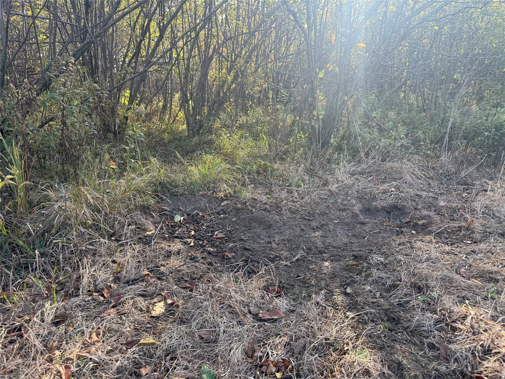 Picture 29