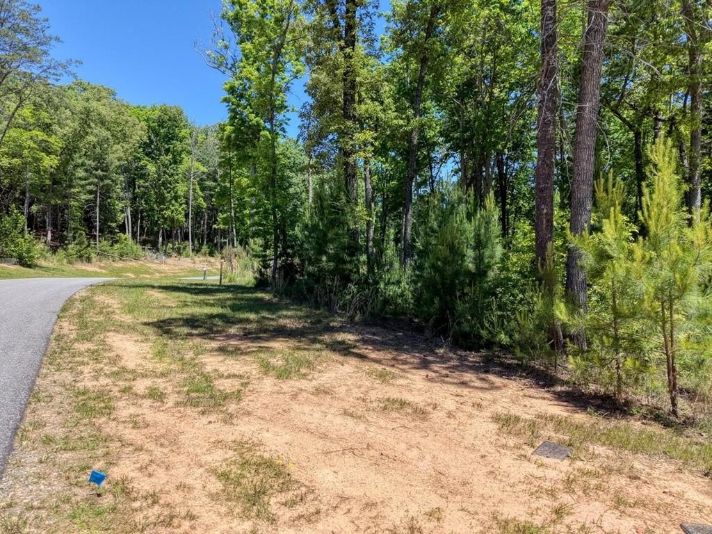 Blairsville Vacant Lot in Highlands