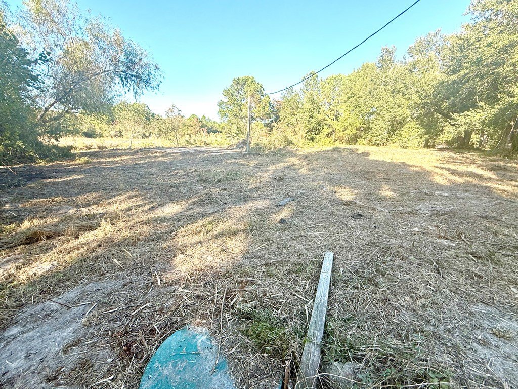 Picture 15