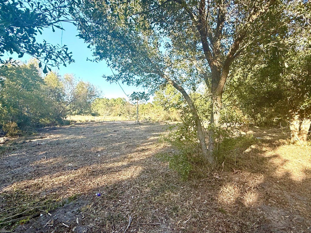 Picture 4