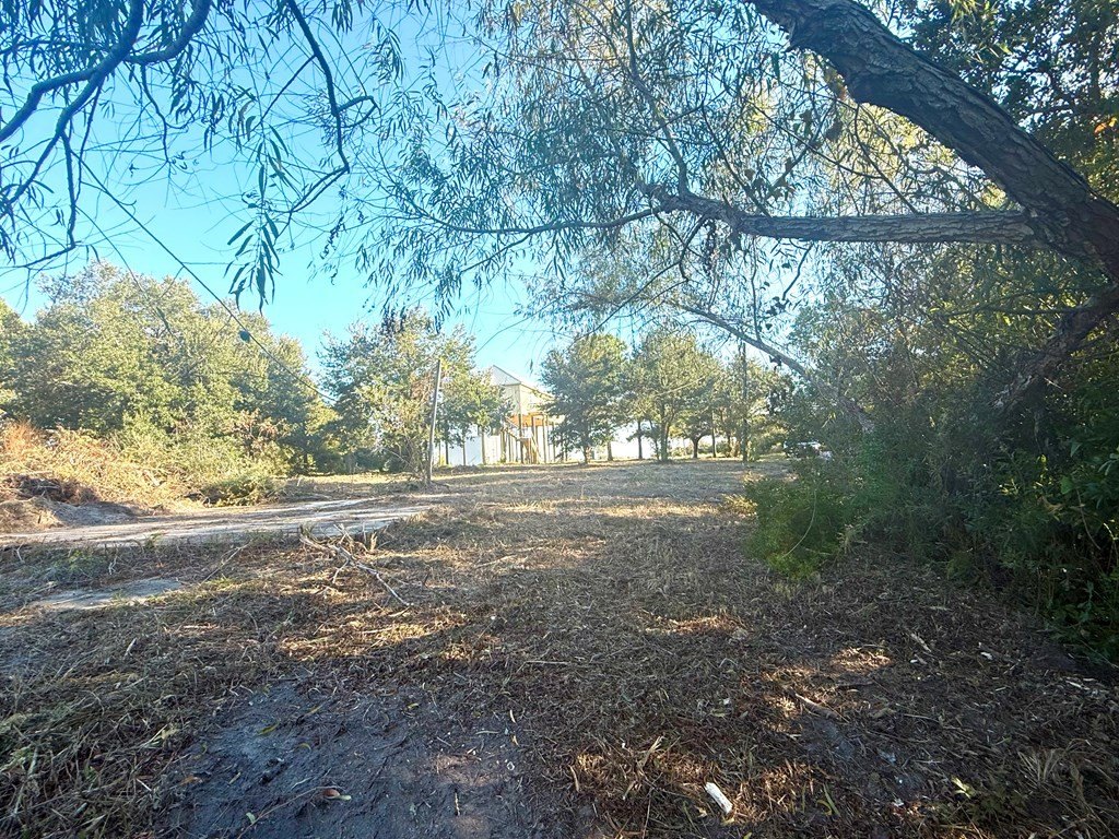 Picture 9