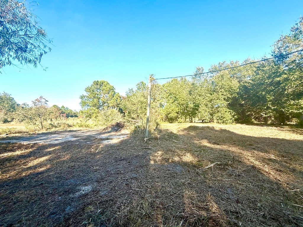 Picture 13