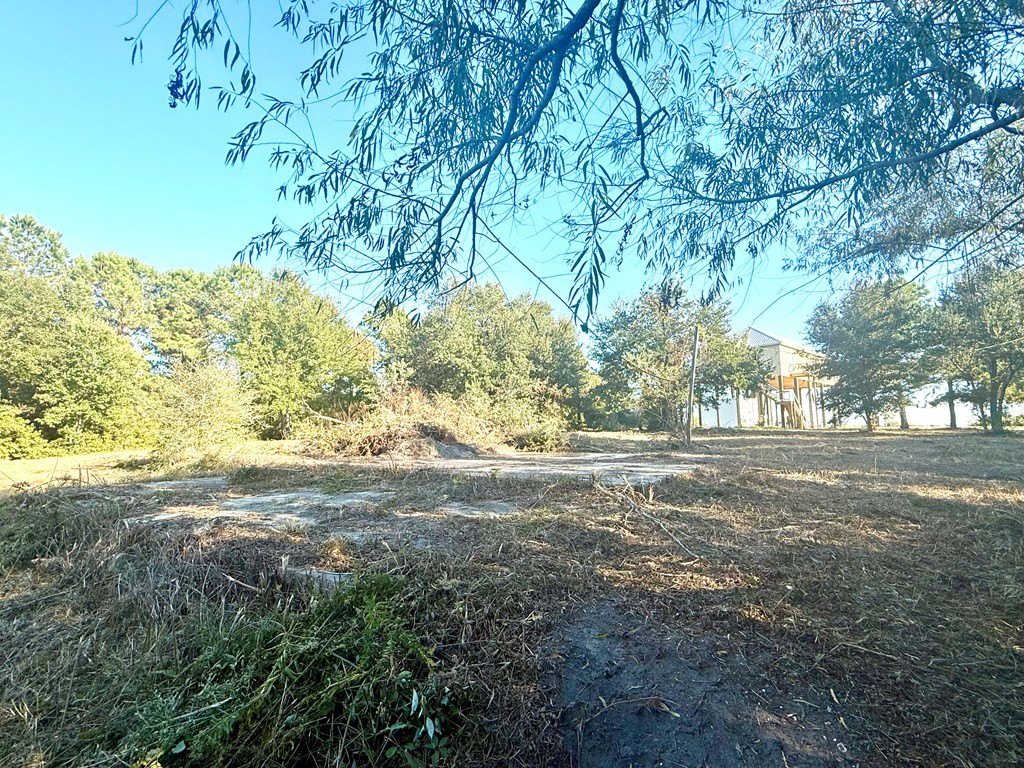 Picture 10