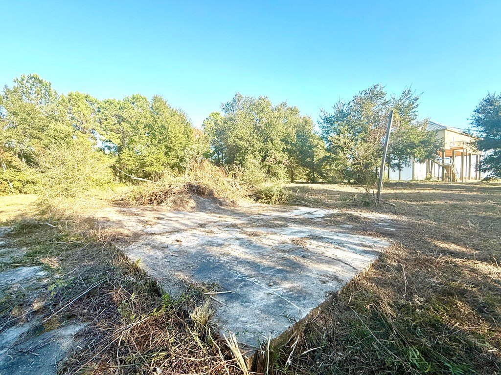Picture 12