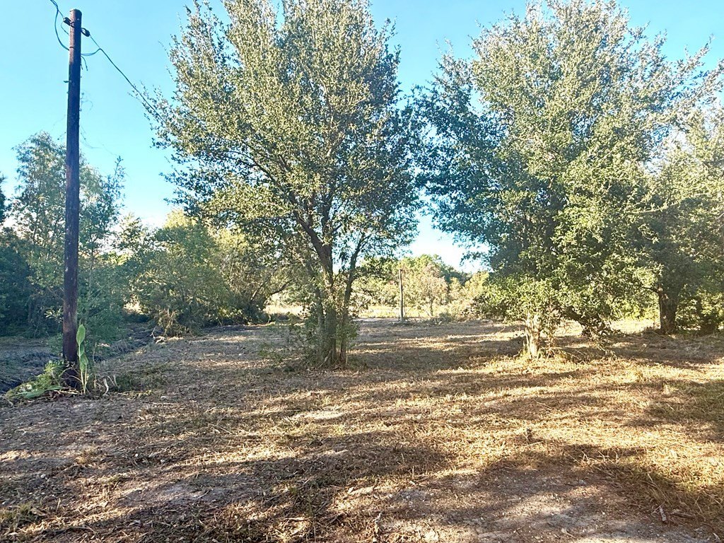 Picture 17