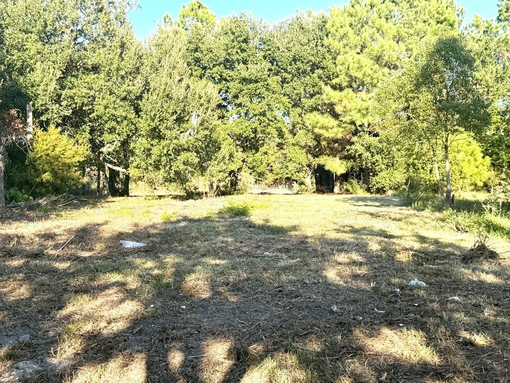 Picture 14