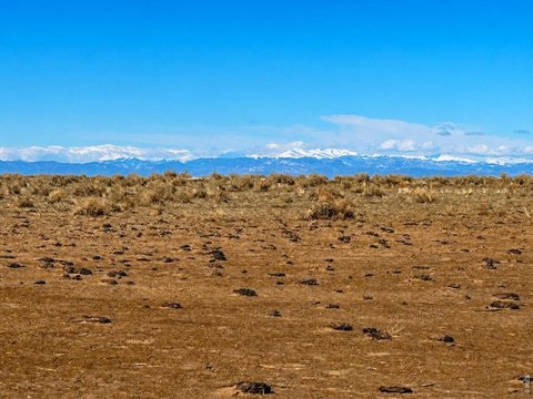 LAND - Briggsdale, CO