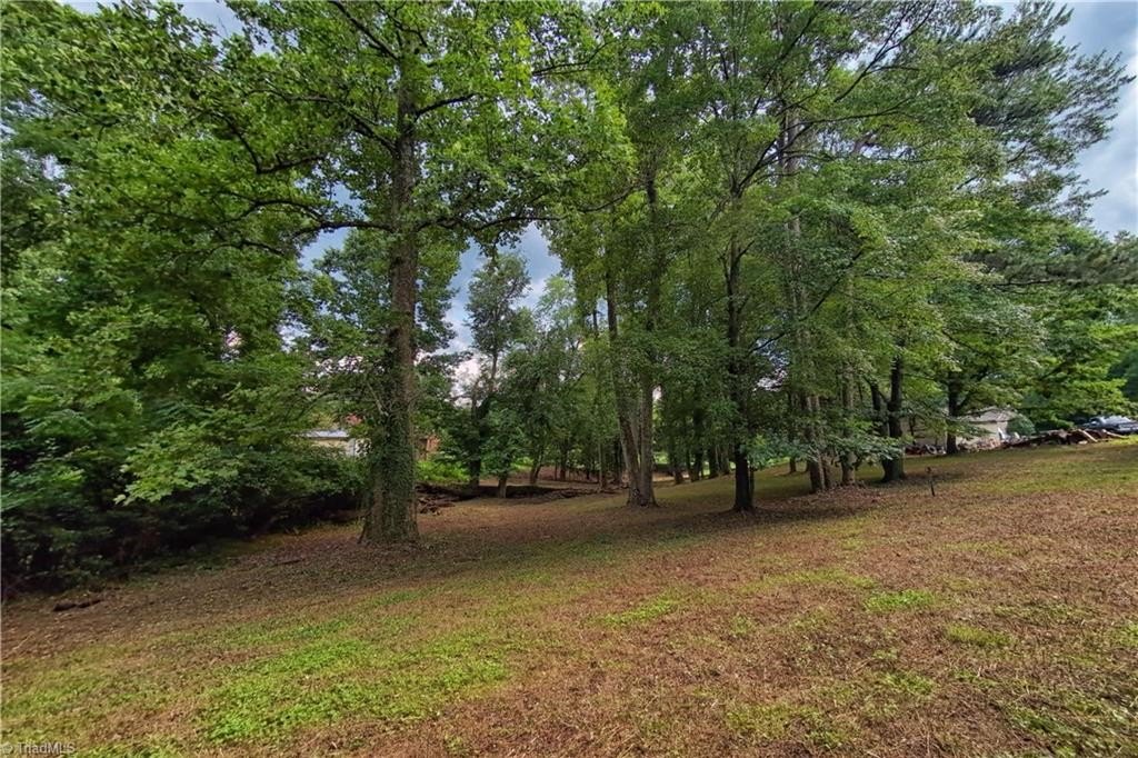 Picture 8
