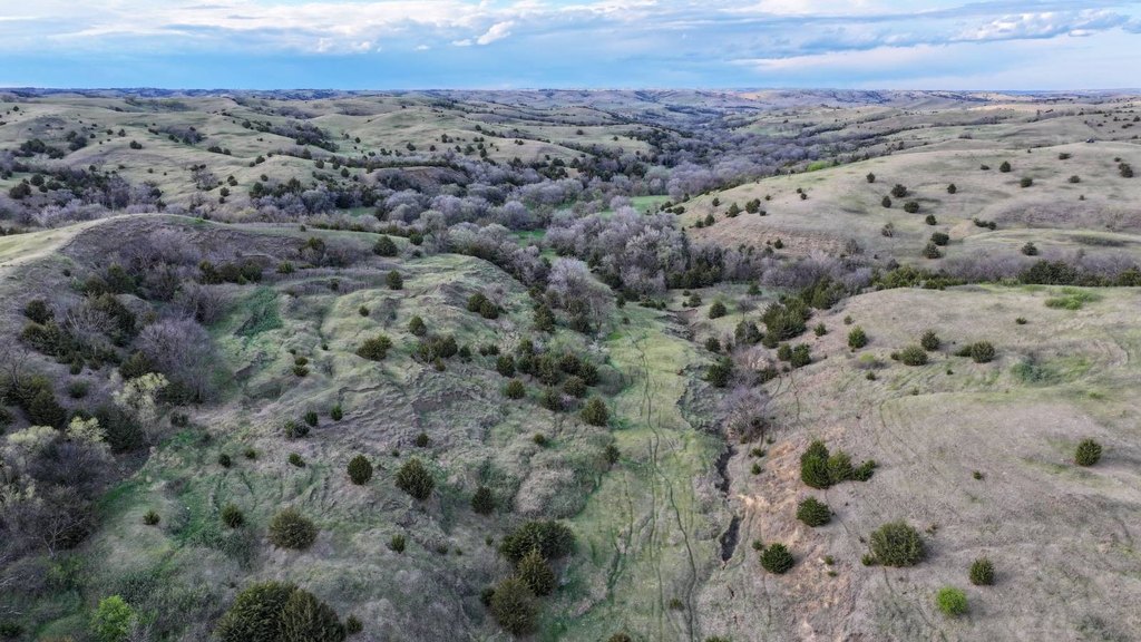 Picture 23