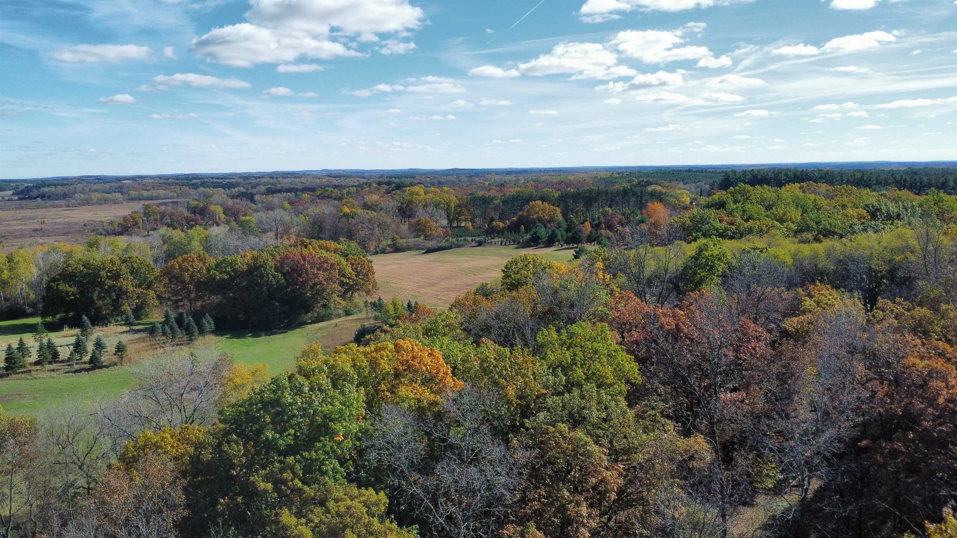 Premier Hunting Land with Trout Stream