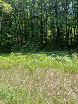 Residential Land in Harrison, MI