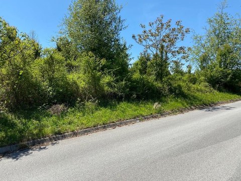 LAND - Sevierville, TN