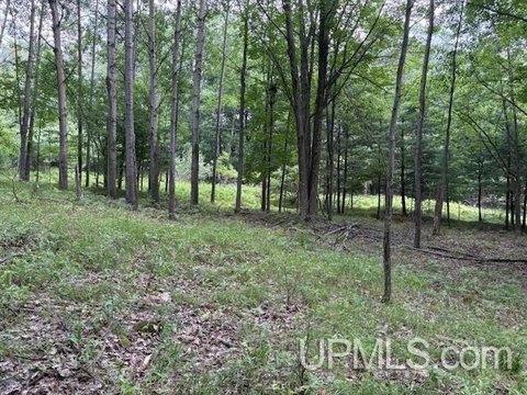 Wooded Land Parcel in Town