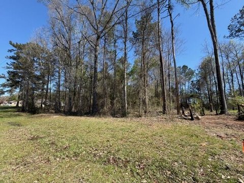 Residential Land in Petal, MS