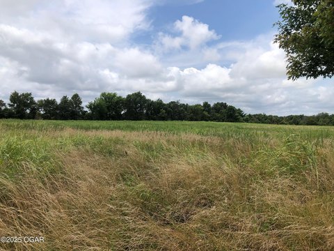 Land in Carl Junction, MO