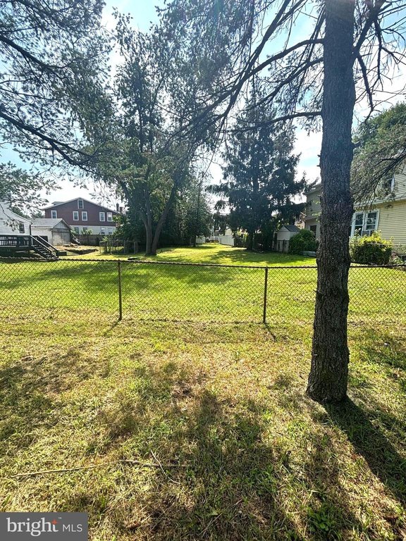 Picture 5