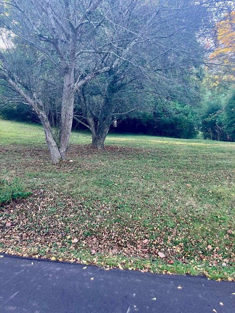 Residential Lot in Bluefield, VA