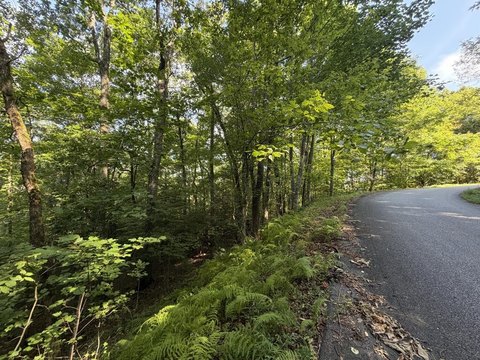 Vacant Lot, Hiawassee, GA