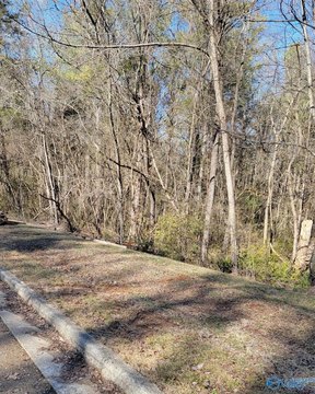 Huntsville Homesite Near Toyota Plant