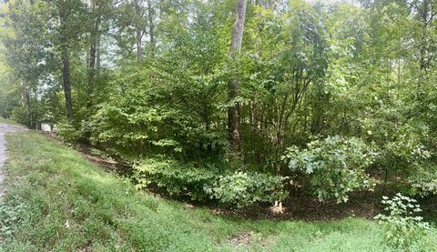 Land, Eddyville, KY
