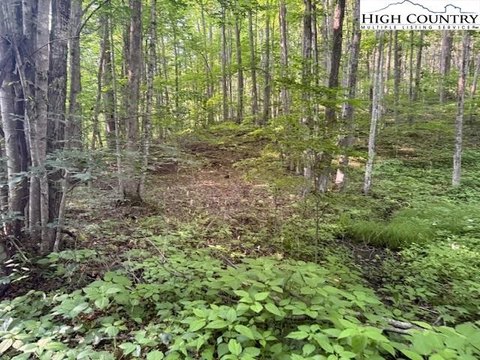Creston, NC Campsites Land
