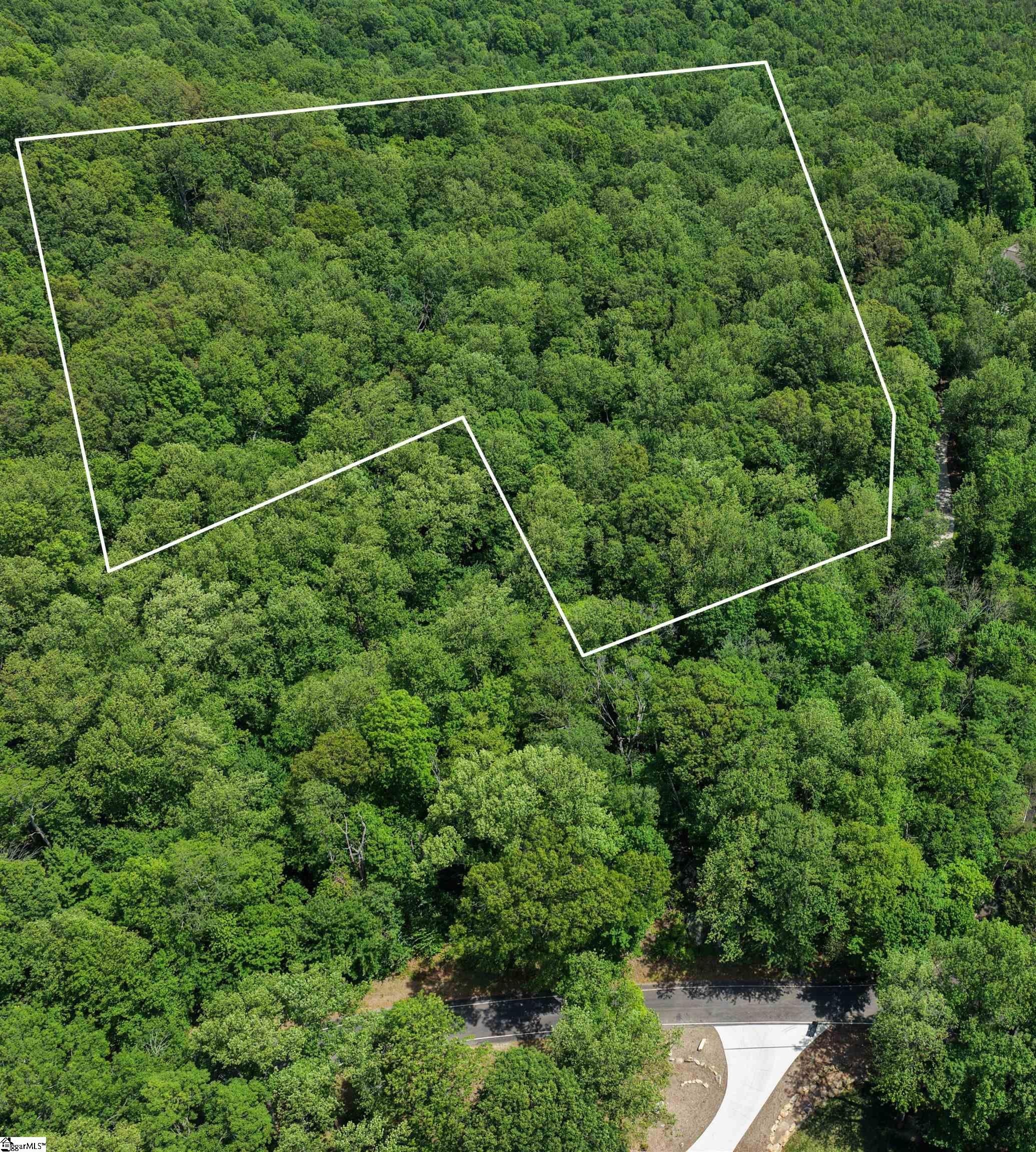 Landrum Homesite in Cliffs at Glassy