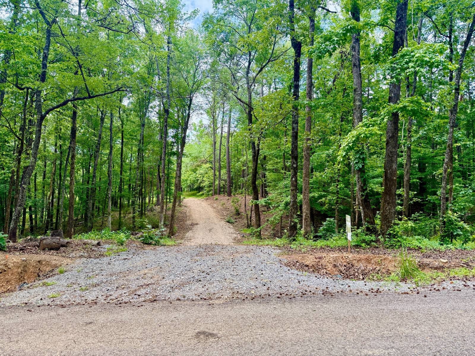 51 Acres of Vacant Land