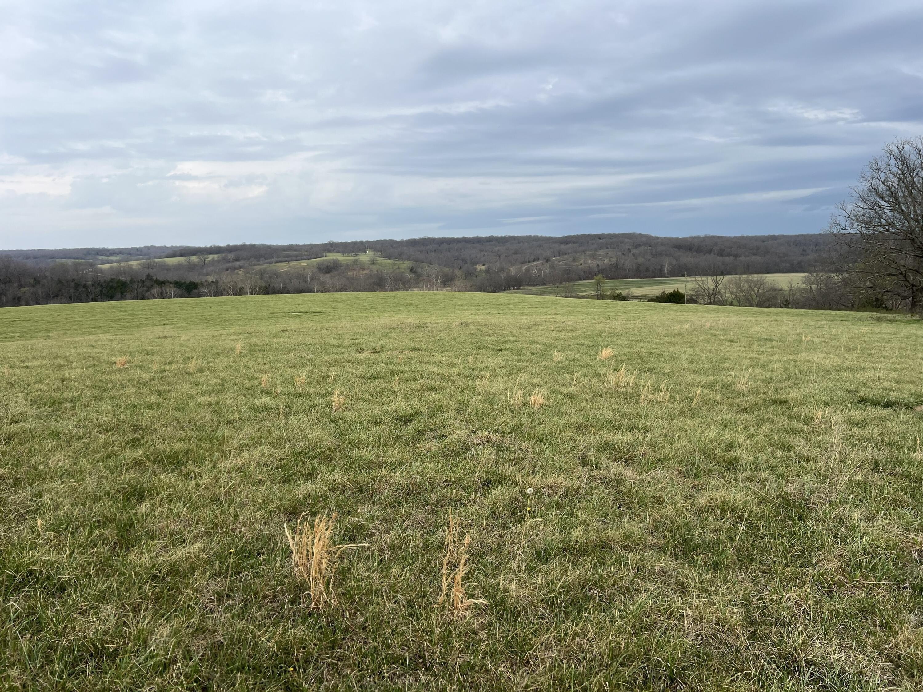 74.91 Acres in Norwood, MO