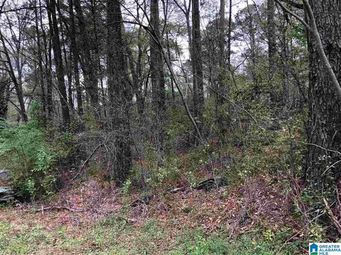 LAND - HOOVER, AL