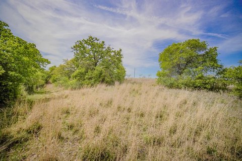 Scenic Ranch Land in Jacksboro