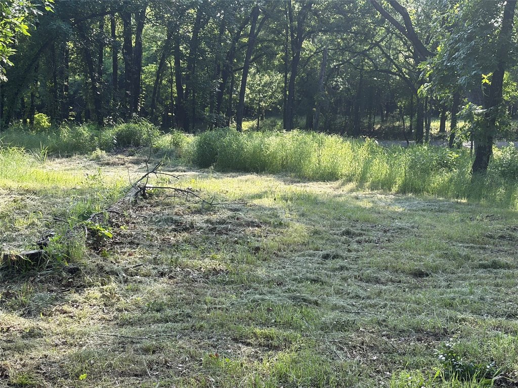 Picture 4