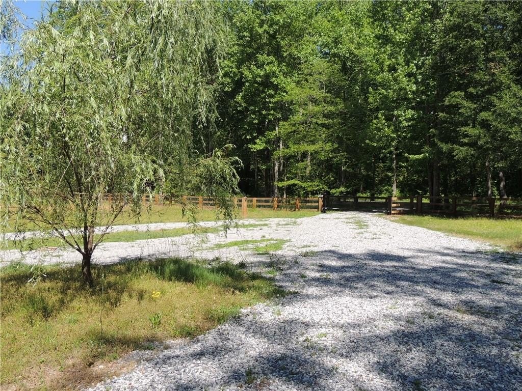 Picture 9