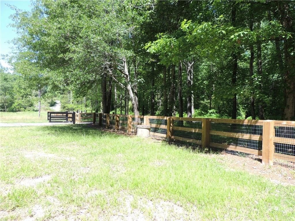 Picture 13