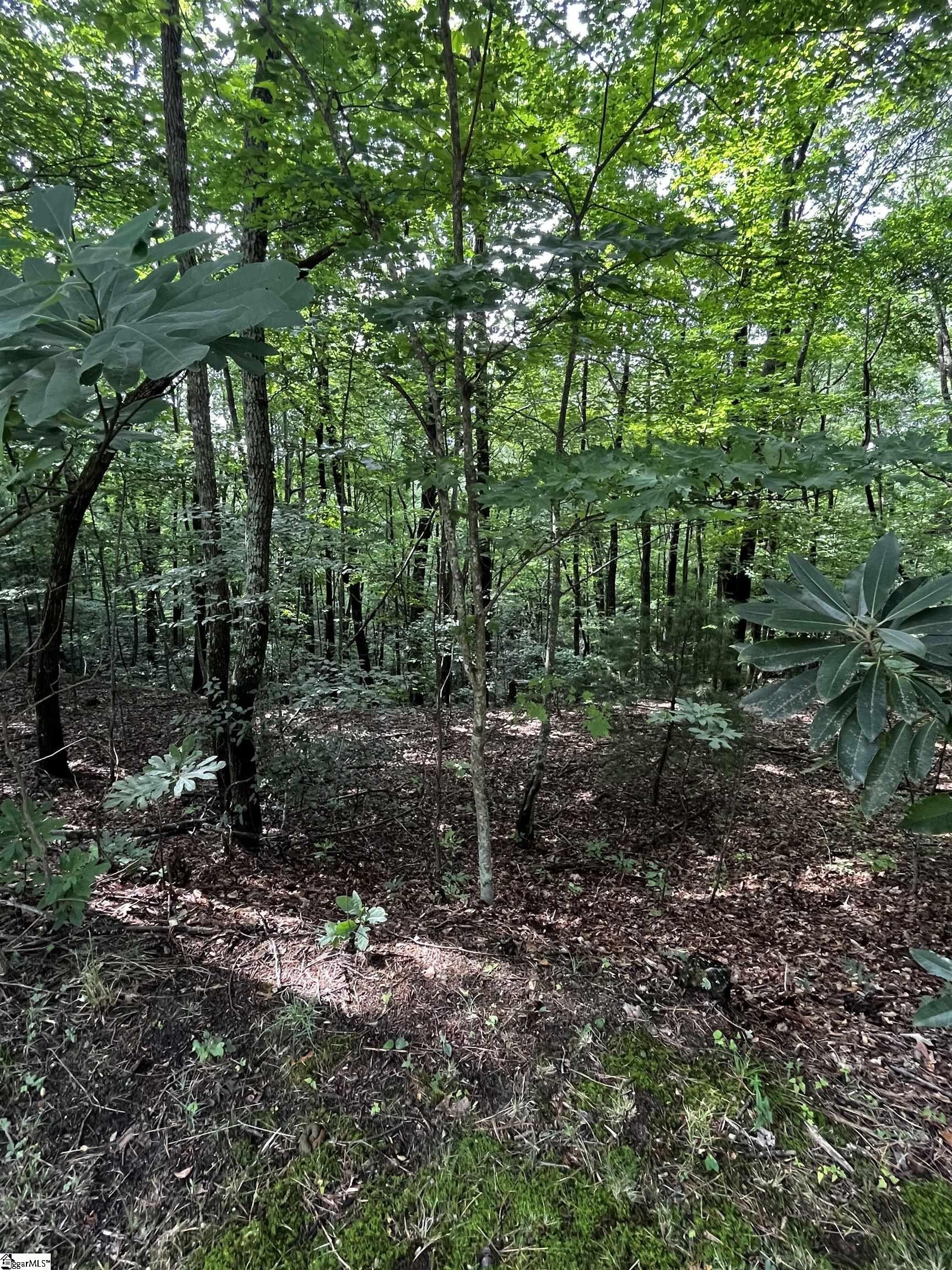 Residential Land in Cliff Ridge