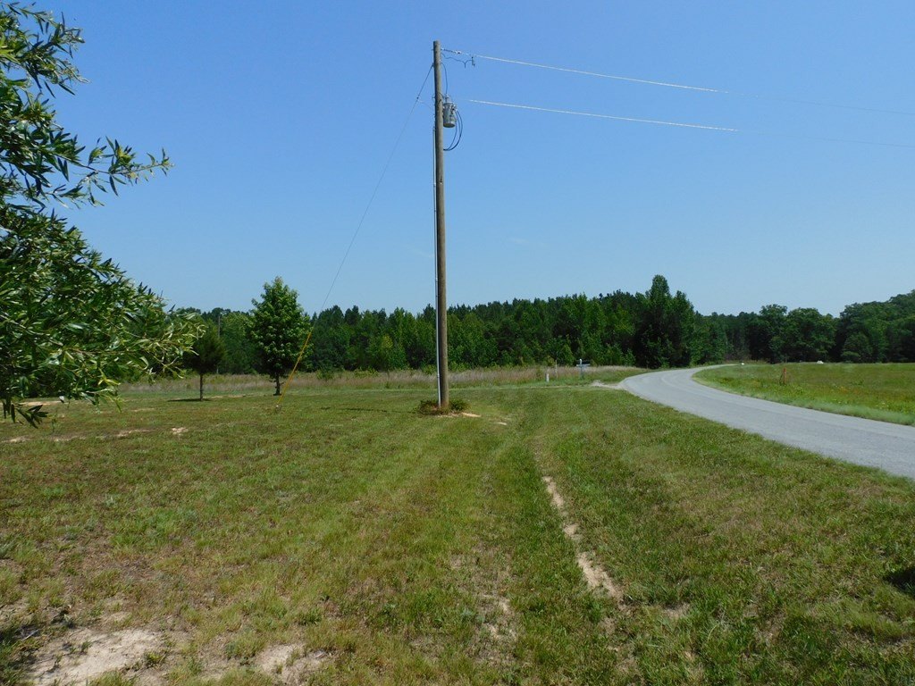 Picture 20
