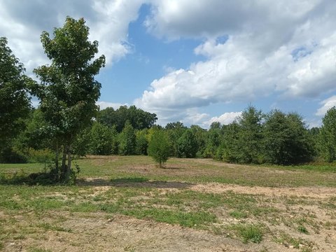 Halifax County Land Parcel